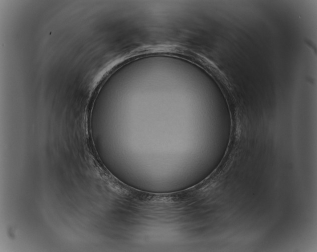 X0000101211174200807181411