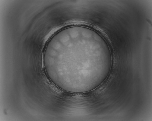 X0000101211175200807181411