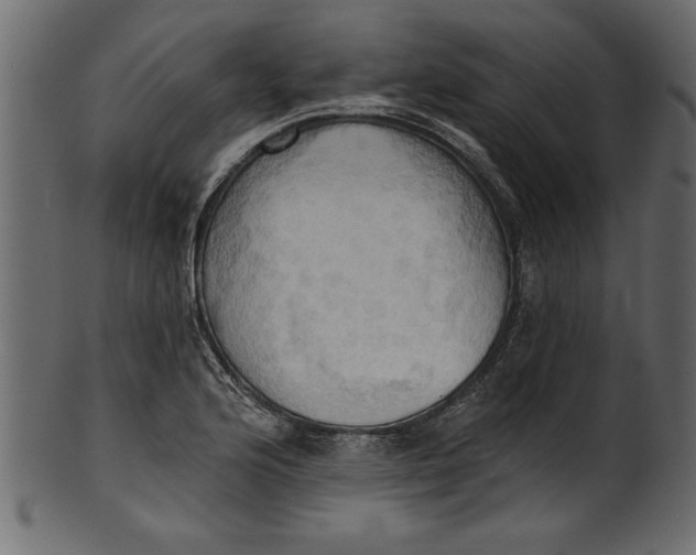 X0000101211176200807181411