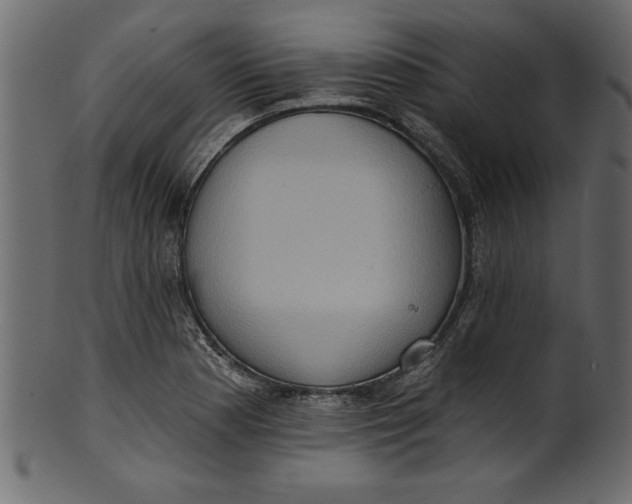 X0000101211177200807181411