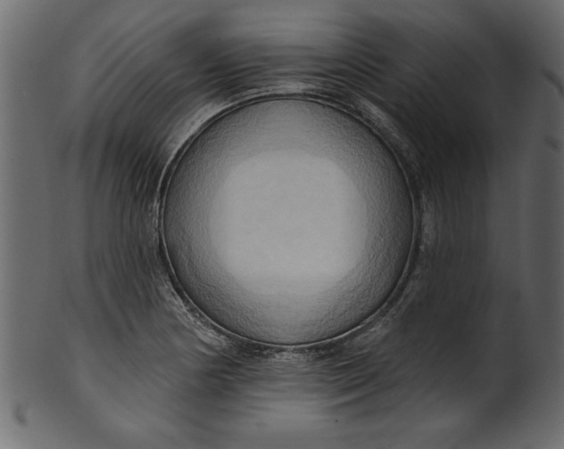 X0000101211178200807181411