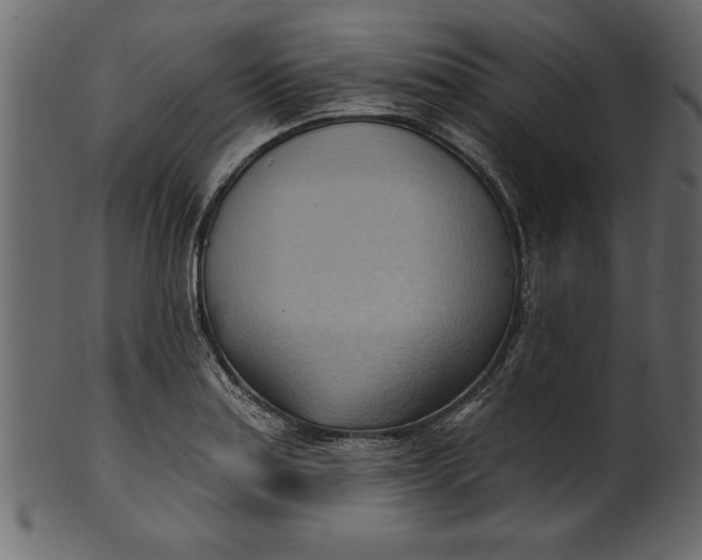 X0000101211179200807181411