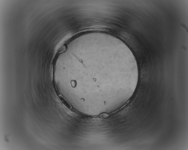 X0000101211180200807181411