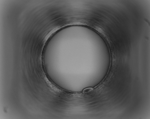 X0000101211181200807181411