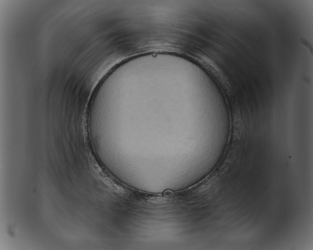 X0000101211182200807181411