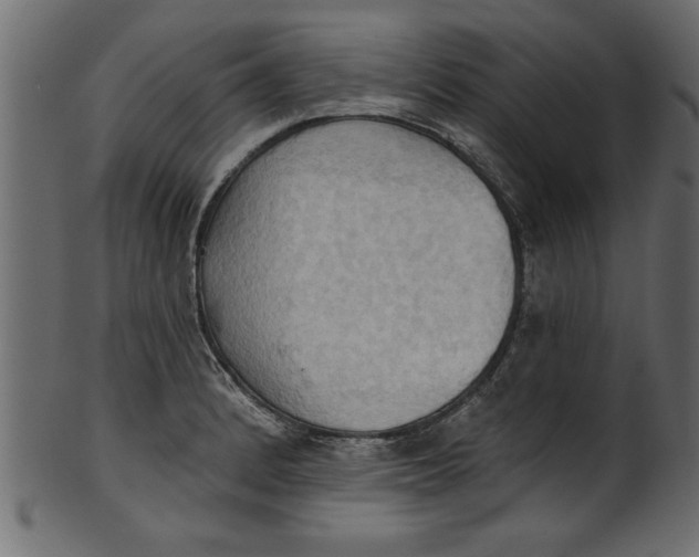 X0000101211184200807181411