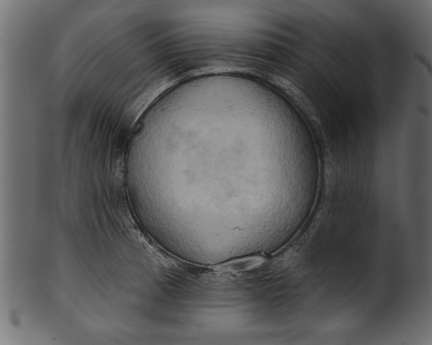 X0000101211185200807181411