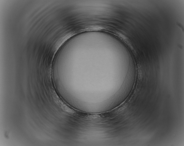 X0000101211186200807181411