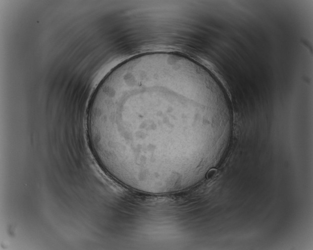 X0000101211187200807181411