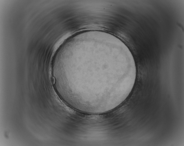 X0000101211188200807181411