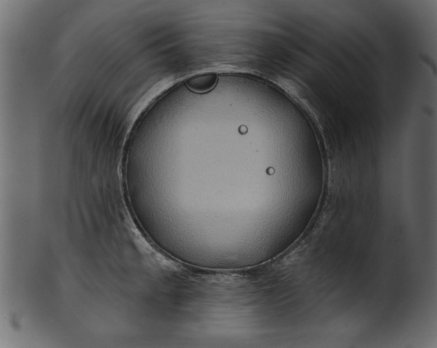 X0000101211189200807181411