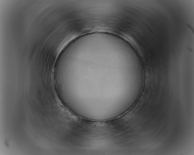 X0000101211190200807181411