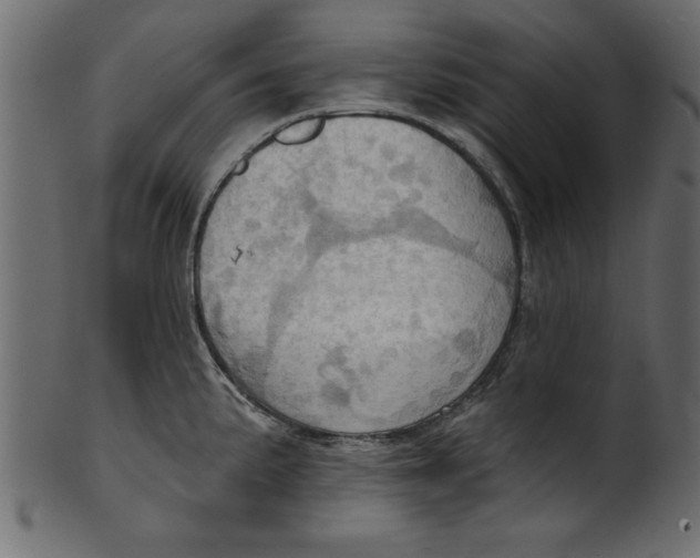 X0000101211191200807181411