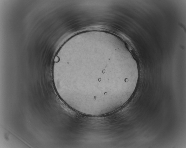 X0000101211192200807181411