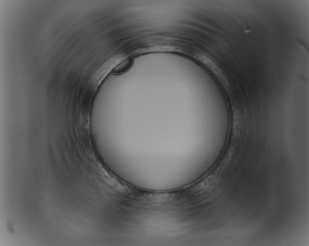 X0000101211193200807181411