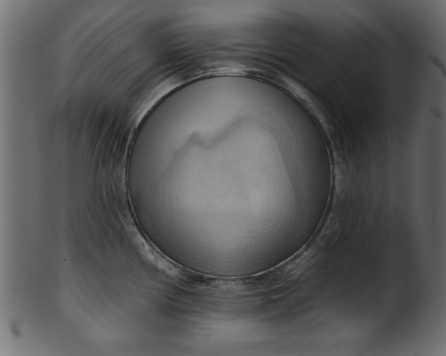 X0000101211194200807181411