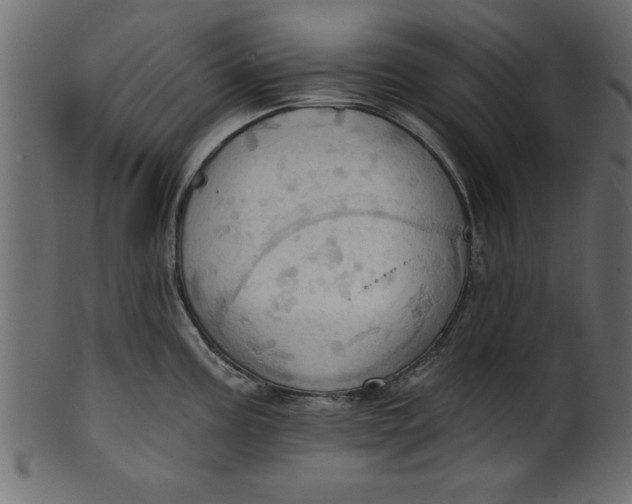 X0000101211195200807181411