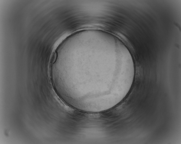 X0000101211196200807181411