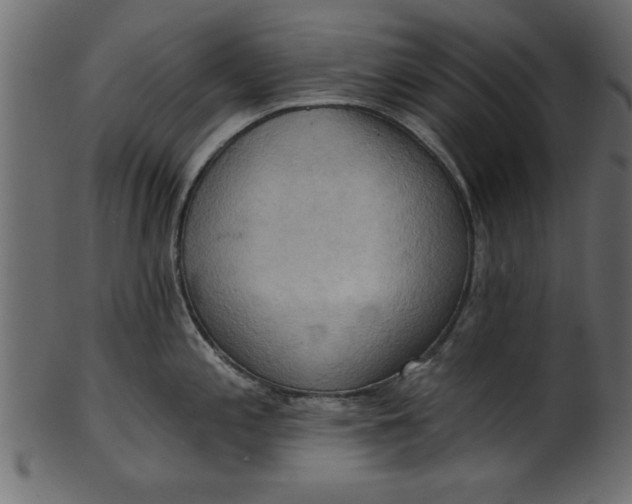 X0000101211197200807181411