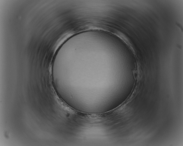 X0000101211198200807181411