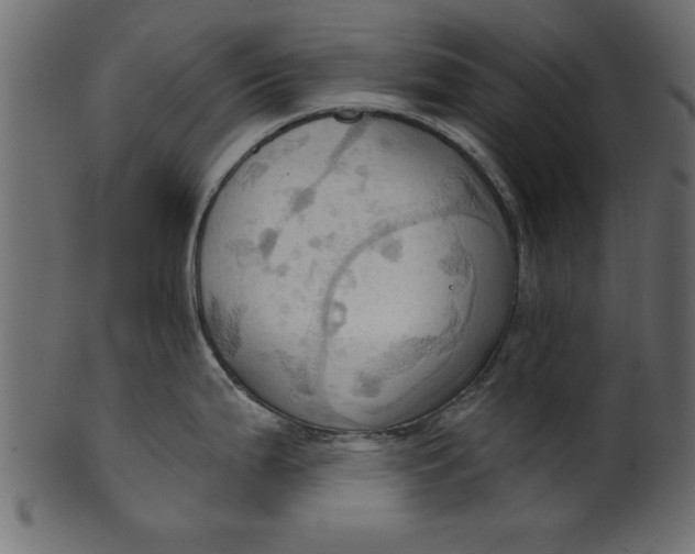 X0000101211199200807181411