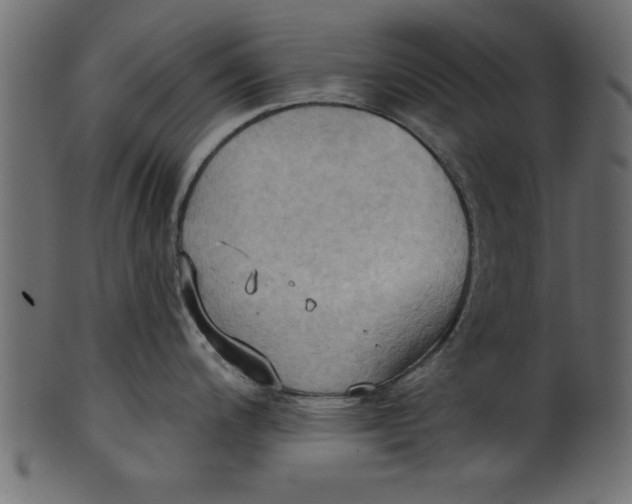 X0000101211200200807181411