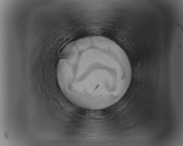 X0000101211201200807181410