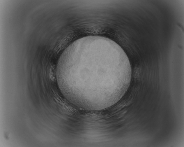 X0000101211202200807181410