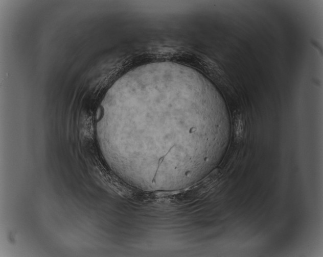 X0000101211204200807181410