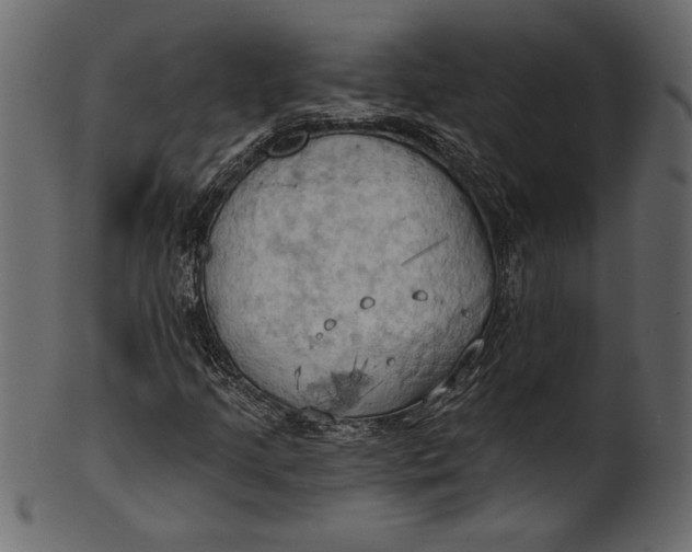 X0000101211205200807181410