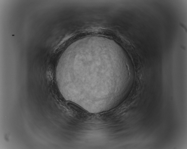 X0000101211206200807181410