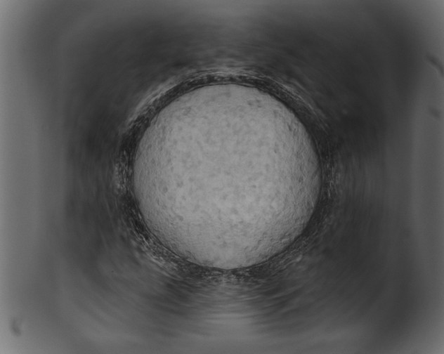 X0000101211207200807181410