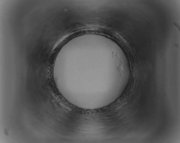 X0000101211208200807181410