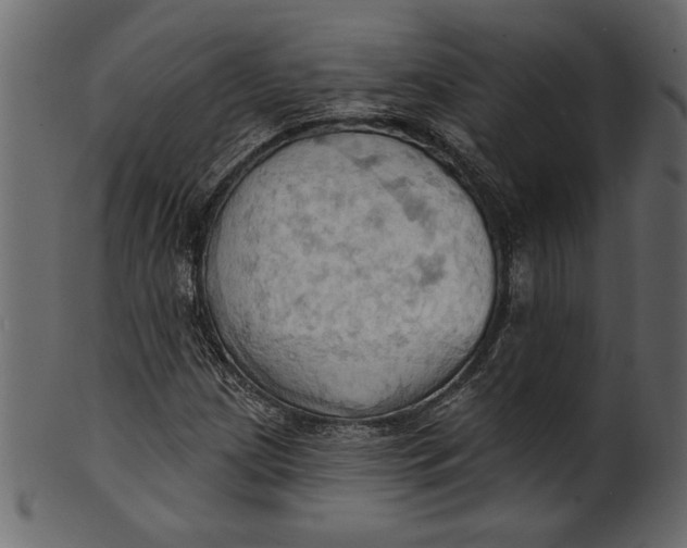 X0000101211209200807181410