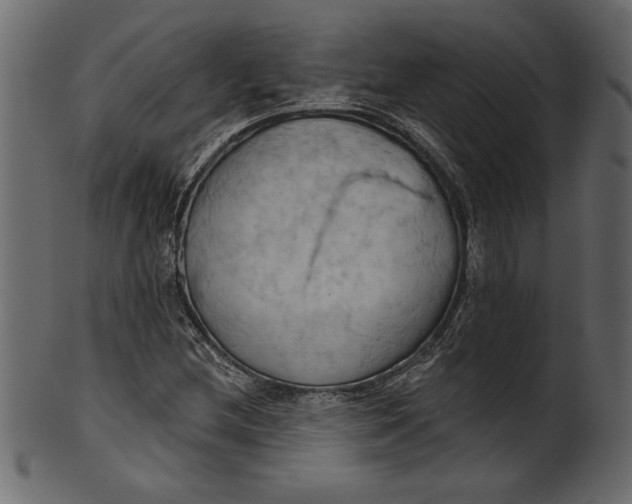 X0000101211212200807181410