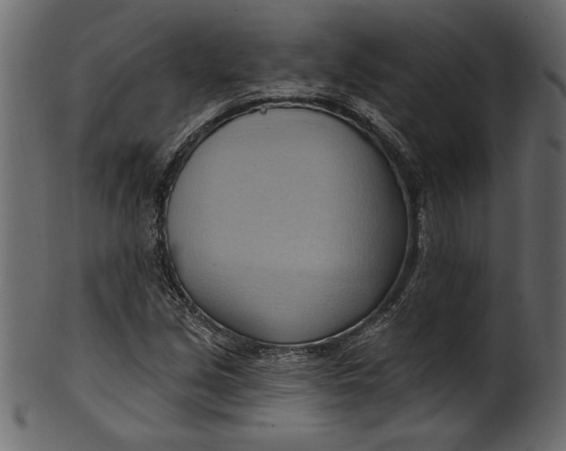 X0000101211213200807181410