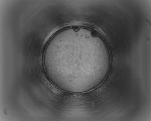 X0000101211216200807181410