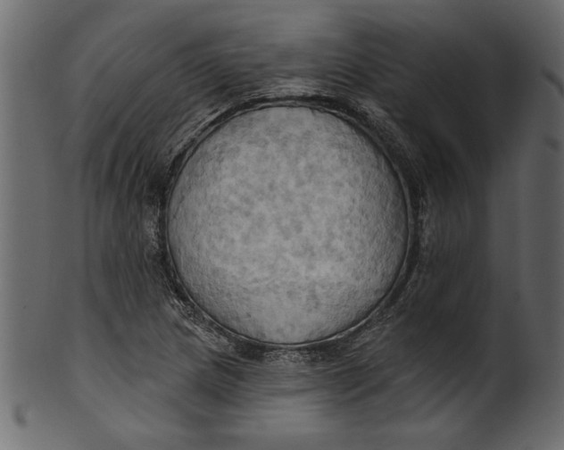 X0000101211217200807181410