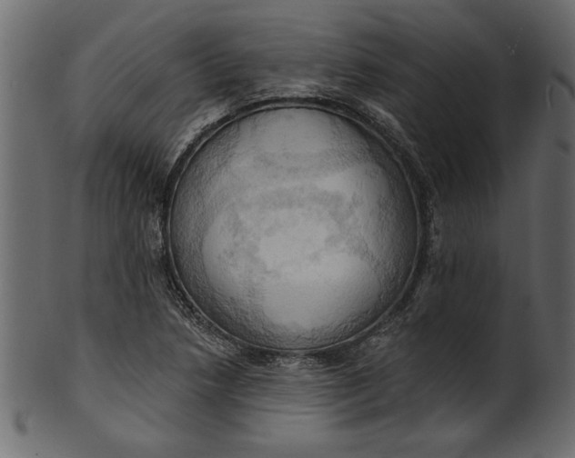 X0000101211218200807181410