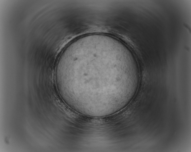 X0000101211220200807181410