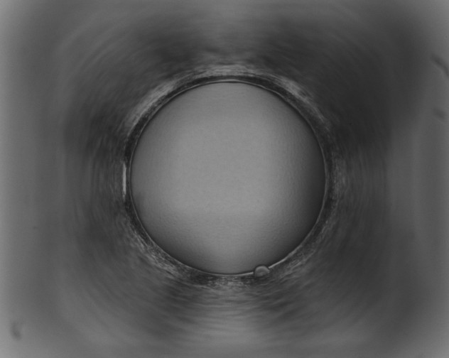 X0000101211221200807181410