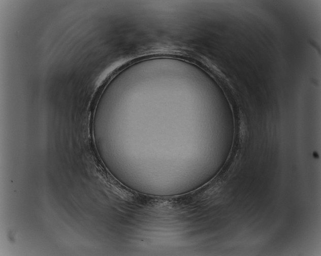 X0000101211222200807181410