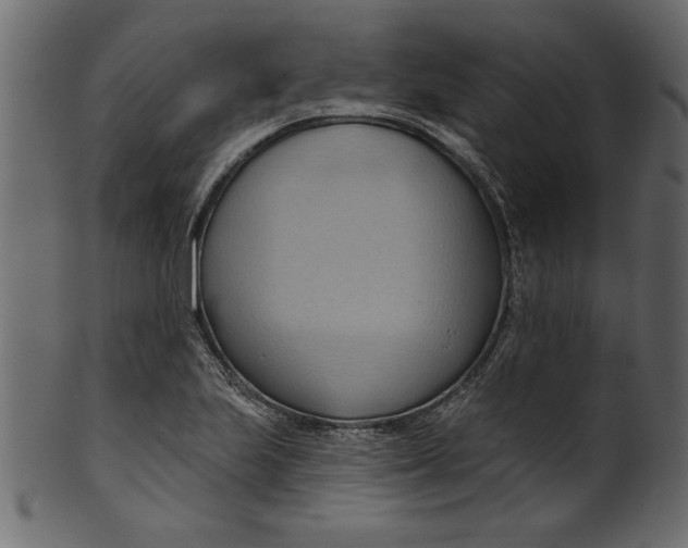 X0000101211223200807181410