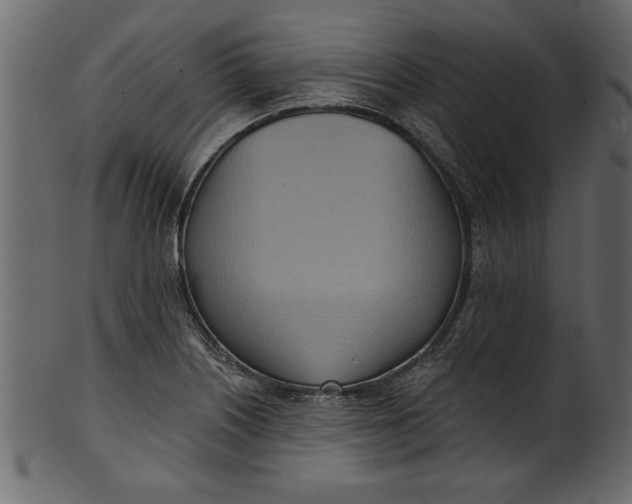 X0000101211226200807181410