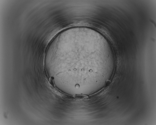 X0000101211228200807181410