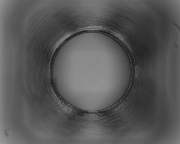 X0000101211229200807181410