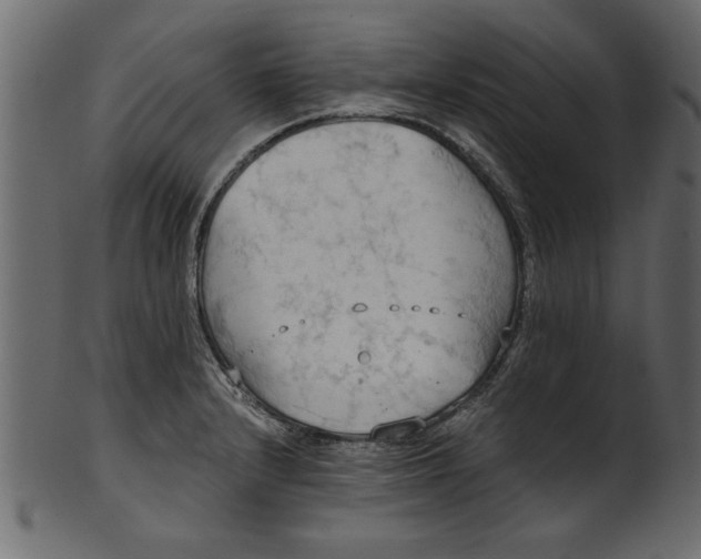 X0000101211232200807181411