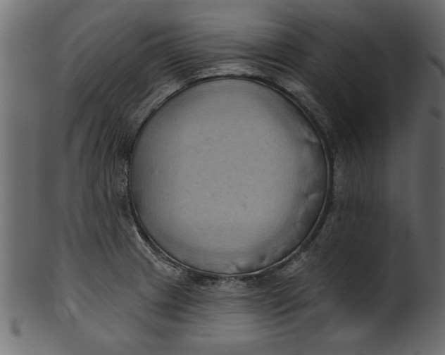 X0000101211233200807181411