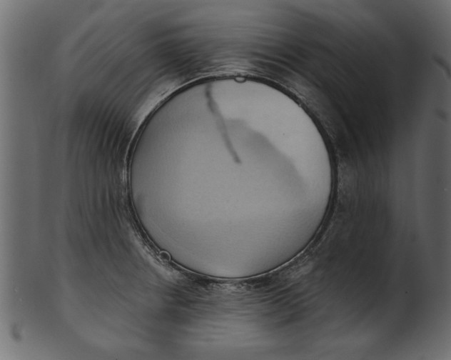 X0000101211234200807181411