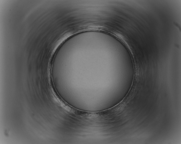 X0000101211235200807181411